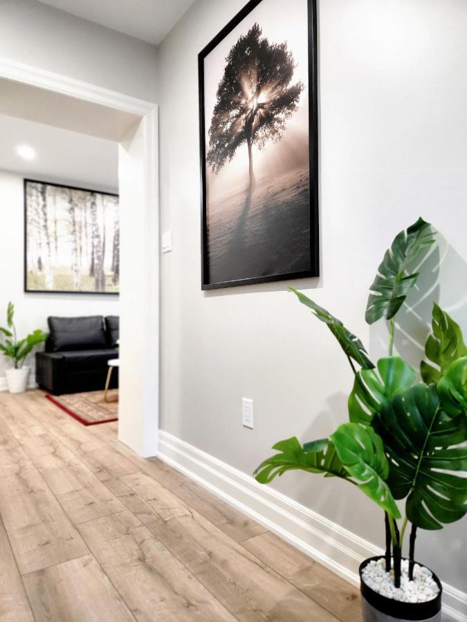 The Cozy Cove Modern King-Bedroom Full Apartment Sainte-Catherine 外观 照片