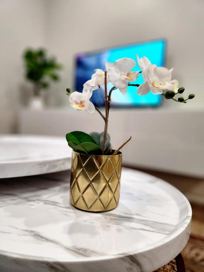 The Cozy Cove Modern King-Bedroom Full Apartment Sainte-Catherine 外观 照片
